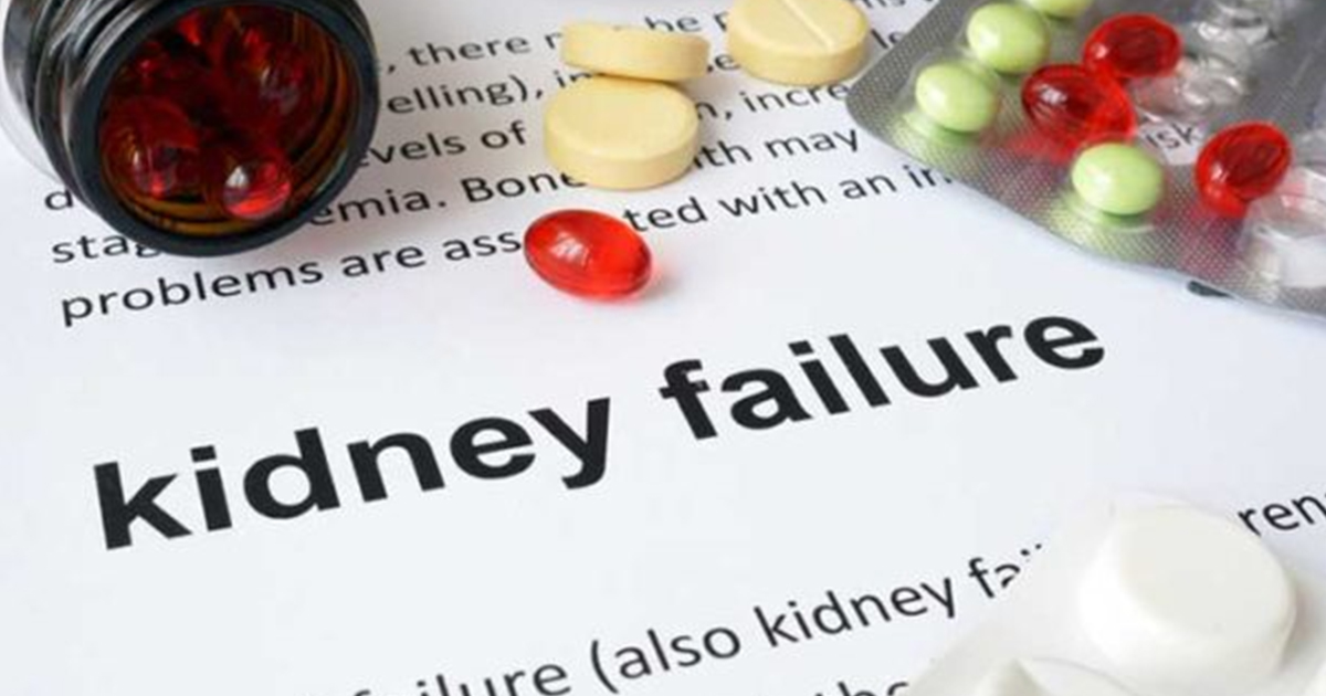 What Treatments Are Available For Kidney Failure?