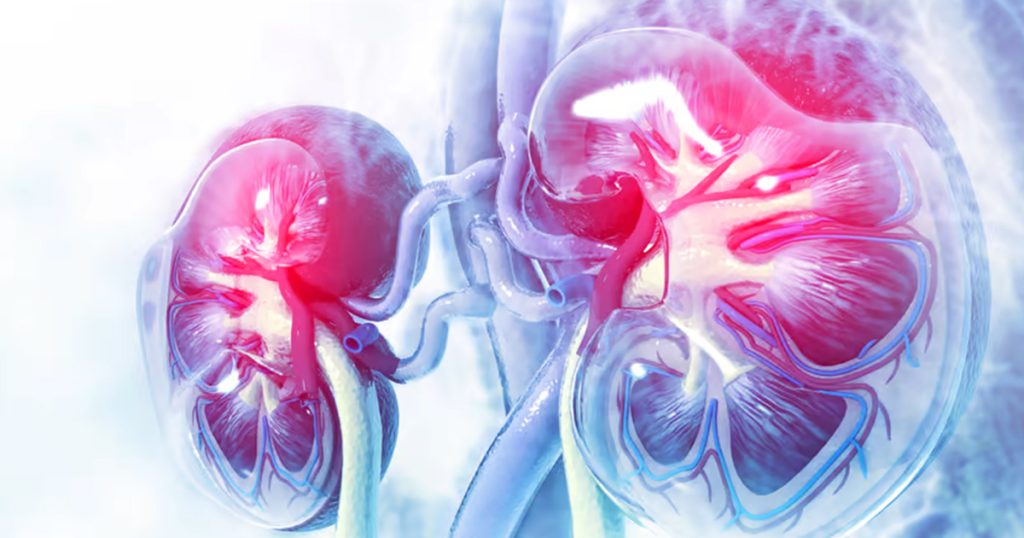 8 Signs You May Have Kidney Disease